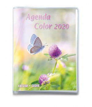 AGENDA COLOR 2020 NDSP