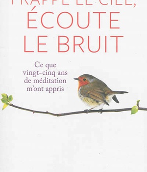 FRAPPE LE CIEL, ECOUTE LE BRUIT
