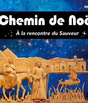 CHEMIN DE NOEL 2020 ADULTES - A LA RENCONTRE DU SA