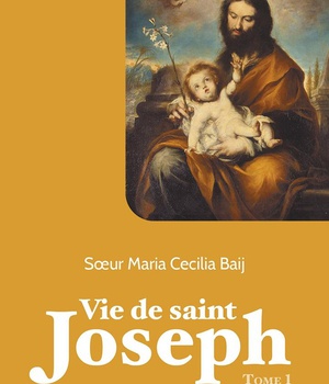 VIE DE SAINT JOSEPH - TOME 1