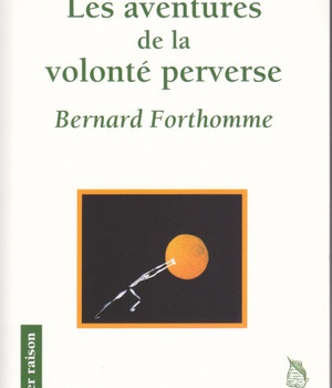LES AVENTURES DE LA VOLONTE PERVERSE