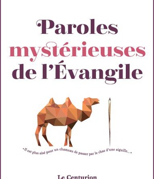 PAROLES MYSTERIEUSES DE L'EVANGILE