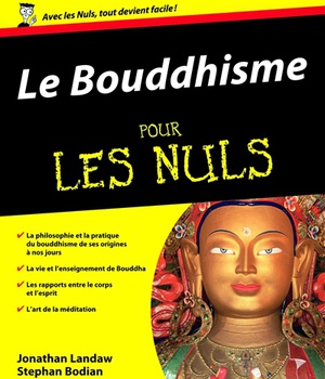 BOUDDHISME POUR LES NULS (LE)