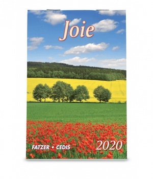 CALENDRIER 2020 MINI JOIE NDSP