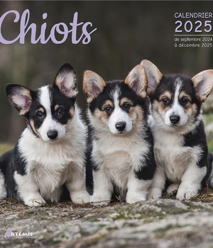 CALENDRIER CHIOTS 2025