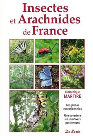 INSECTES ET ARACHNIDES DE FRANCE