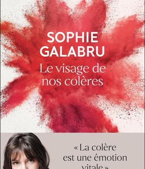 LE VISAGE DE NOS COLERES