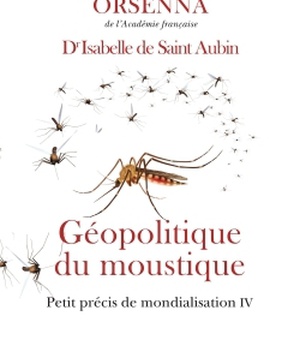 GEOPOLITIQUE DU MOUSTIQUE - PETIT PRECIS DE MONDIALISATION IV