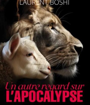 UN AUTRE REGARD SUR LAPOCALYPSE