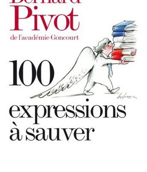100 EXPRESSIONS A SAUVER