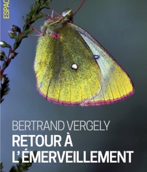 ESPACES LIBRES - T269 - RETOUR A L'EMERVEILLEMENT