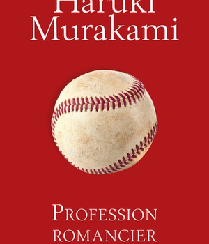 PROFESSION ROMANCIER