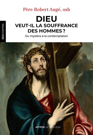 DIEU VEUT-IL LA SOUFFRANCE DES HOMMES ? - DU MYSTERE A LA CONTEMPLATION