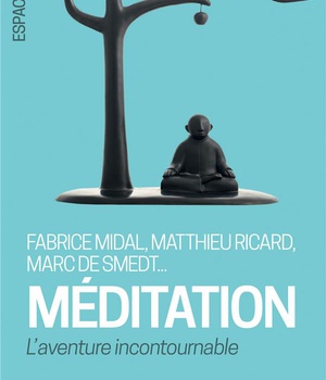 ESPACES LIBRES - T273 - MEDITATION - L'AVENTURE INCONTOURNABLE