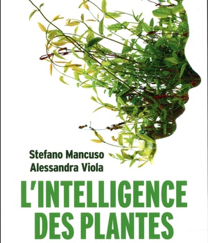 L'INTELLIGENCE DES PLANTES