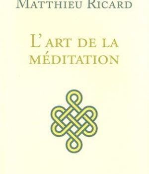 L'ART DE LA MEDITATION - NOUVELLE EDITION