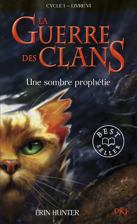 LA GUERRE DES CLANS - CYCLE I - TOME 6 UNE SOMBRE PROPHETIE -POCHE- - VOL06