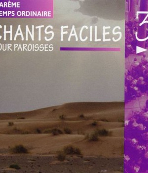 CHANTS FACILES POUR PAROISSES VOL 3 - AUDIO