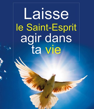 LAISSE LE SAINT-ESPRIT AGIR DANS TA VIE - L430
