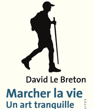 MARCHER LA VIE - UN ART TRANQUILLE DU BONHEUR