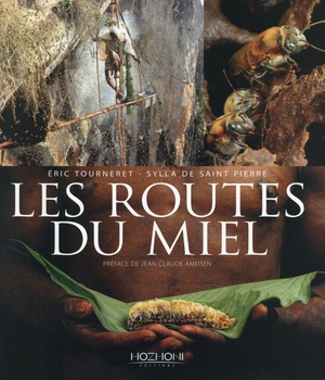 LES ROUTES DU MIEL