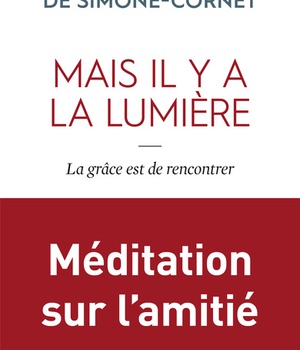 MAIS IL Y A LA LUMIERE - LA GRACE EST DE RENCONTRER - MEDITATION SUR LAMITIE