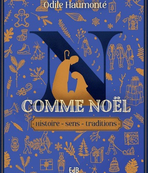 N COMME NOEL - HISTOIRE - SENS - TRADITIONS