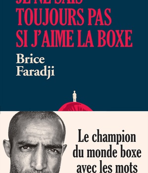 JE NE SAIS TOUJOURS PAS SI J'AIME LA BOXE - LE CHAMPION DU MONDE BOXE AVEC LES MOTS
