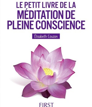 LE PETIT LIVRE DE - LA MEDITATION DE PLEINE CONSCIENCE