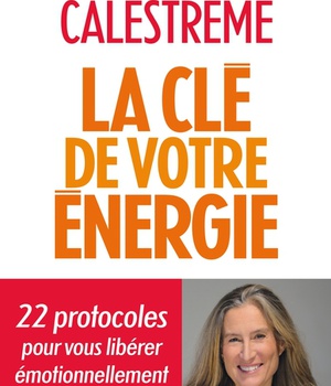 LA CLE DE VOTRE ENERGIE - 22 PROTOCOLES POUR VOUS LIBERER EMOTIONNELLEMENT