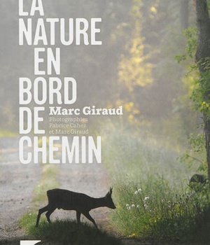 LA NATURE EN BORD DE CHEMIN