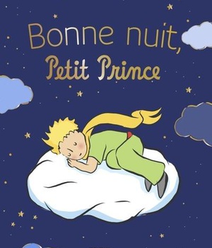 BONNE NUIT, PETIT PRINCE...