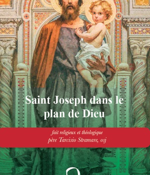 SAINT JOSEPH DANS LE PLAN DE DIEU - FAIT RELIGIEUX ET THEOLOGIQUE