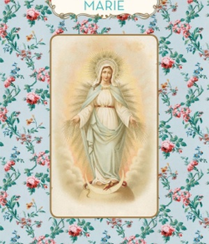 LE PETIT LIVRE DE MARIE