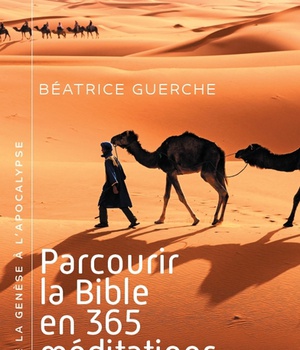 PARCOURIR LA BIBLE EN 365 MEDITATIONS - DE LA GENESE A LAPOCALYPSE