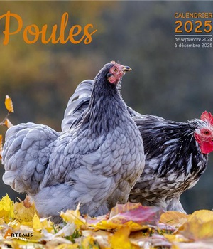CALENDRIER POULES 2025