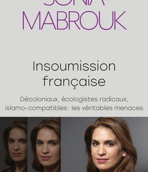 INSOUMISSION FRANCAISE - DECOLONIAUX, ECOLOGISTES RADICAUX, ISLAMO-COMPATIBLES... : LES VERITABLES M