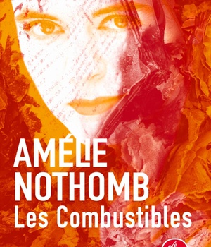 LES COMBUSTIBLES