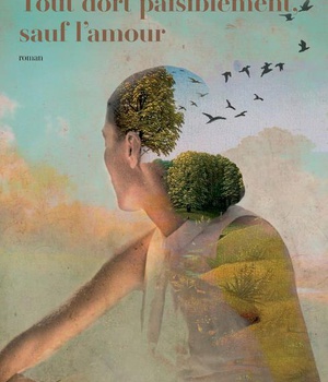 TOUT DORT PAISIBLEMENT, SAUF L'AMOUR