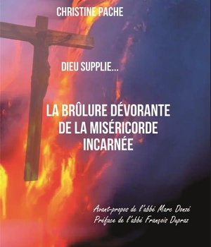 LA BRULURE DEVORANTE DE LA MISERICORDE INCARNEE - DIEU SUPPLIE