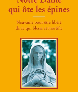 NOTRE-DAME QUI OTE LES EPINES - NEUVAINE POUR ETRE LIBERE DE CE QUI BLESSE ET MORTIFIE