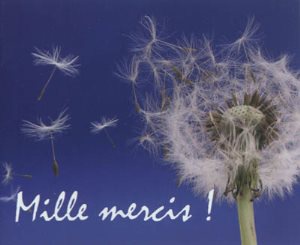 MILLE MERCIS MINI PERLES