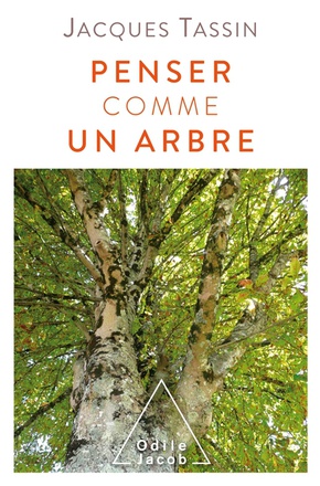 PENSER COMME UN ARBRE