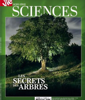 HS LA VIE / LE SECRET DES ARBRES