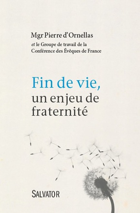 FIN DE VIE, UN ENJEU DE FRATERNITE