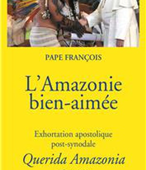 L'AMAZONIE BIEN-AIMEE - EXHORTATION APOSTOLIQUE POST-SYNODALE - QUERIDA AMAZONIA, 2 FEVRIER 2020