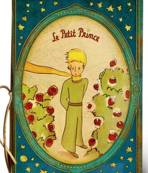 CAHIER SOUPLE - MOYEN FORMAT - LPP - 140X205MM