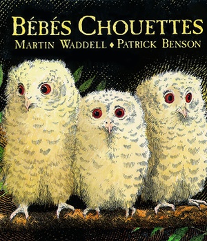 BEBES CHOUETTES