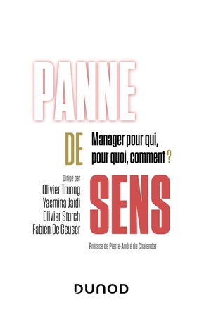 PANNE DE SENS - MANAGER POUR QUI, POUR QUOI, COMMENT ?