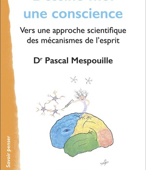 DESSINE-MOI UNE CONSCIENCE - VERS UNE APPROCHE SCIENTIFIQUE DES MECANISMES DE L'ESPRIT